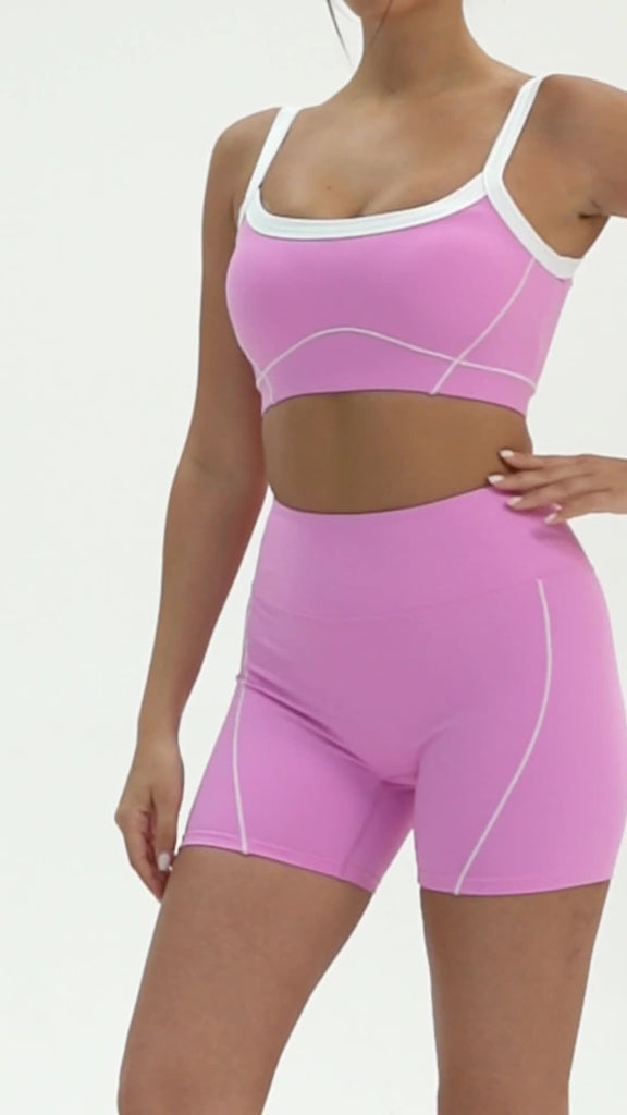 Celeste Panel Crop Bra Top