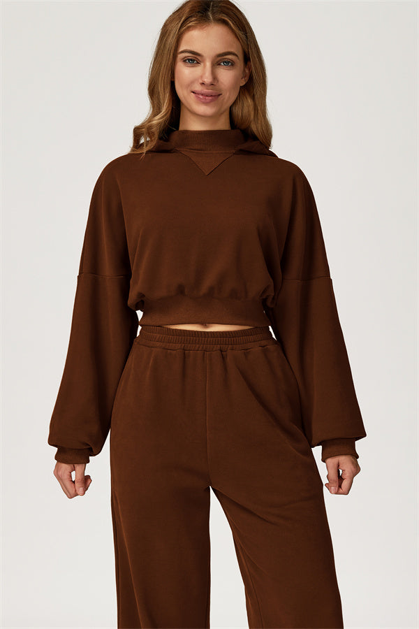 The Axis Crop Hoodie Pants 2-Piece Set Bistre