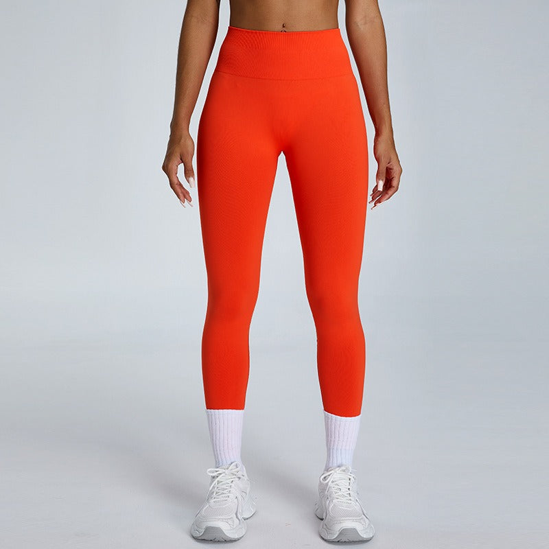 Claire Active Seamless Leggings Coral