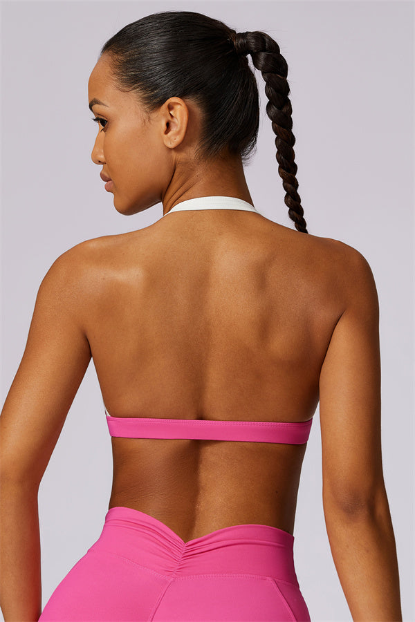 Flex Fusion Sports Bra Raspberry