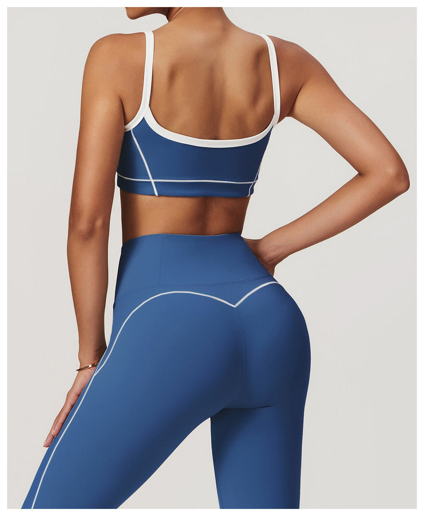 Celeste Panel Crop Bra Top