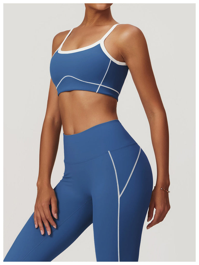 Celeste Panel Crop Bra Top