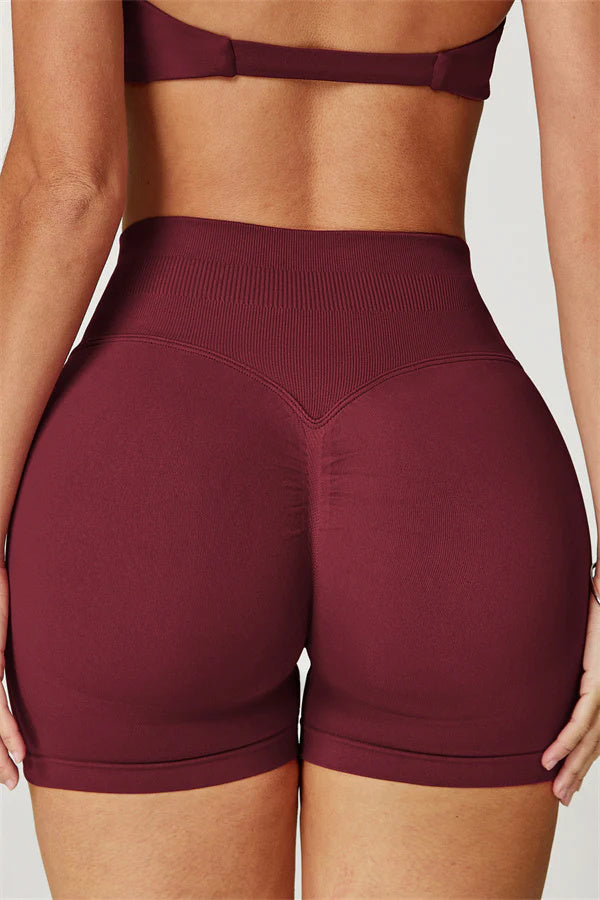 The Elara Sports Bra Shorts 2-Piece Set