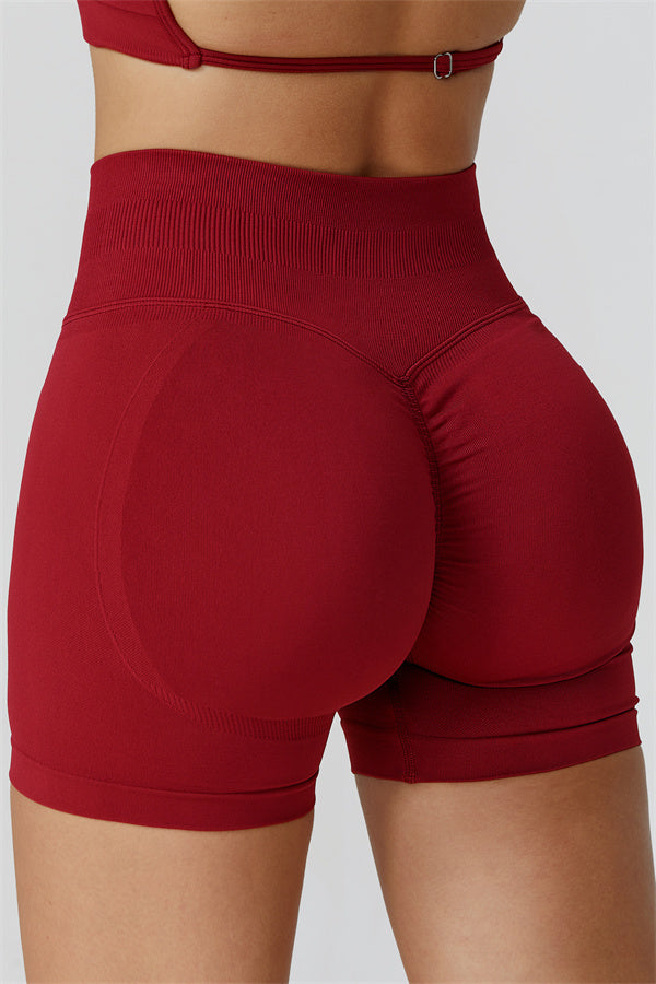 The Reign Crop Top Shorts 2-Piece Set