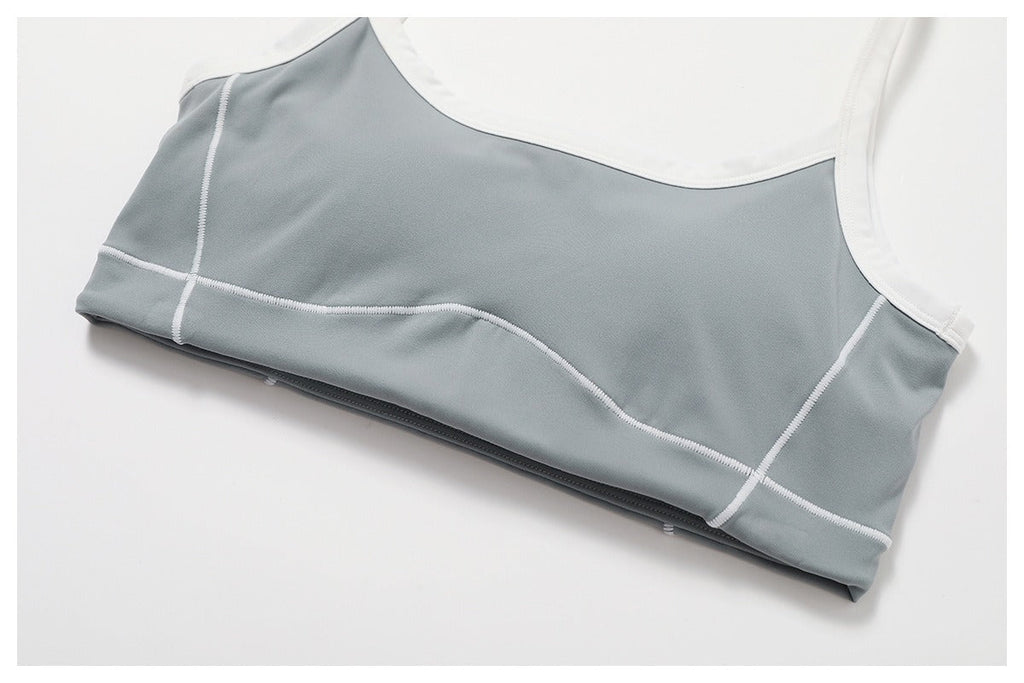 Celeste Panel Crop Bra Top