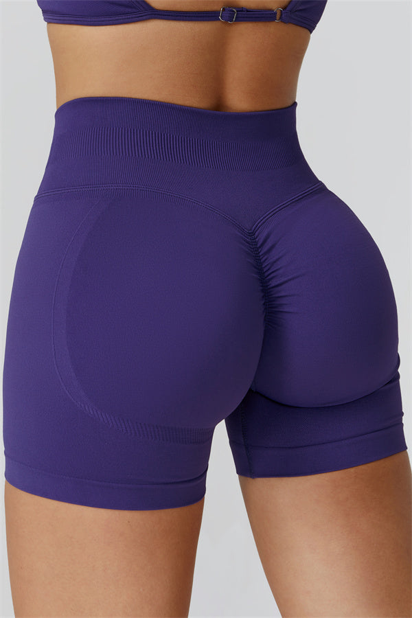 The Reign Crop Top Shorts 2-Piece Set