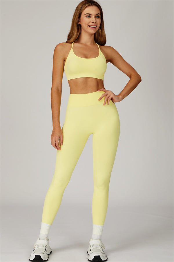 The Sculpt Sports Bra