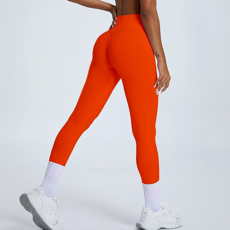 Willa Seamless Leggings Orange