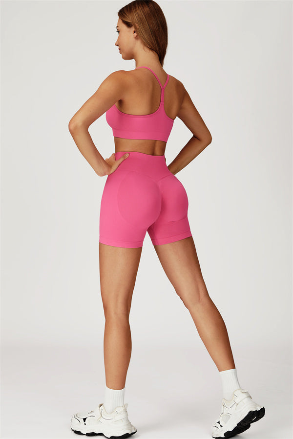 The Sculpt Sports Bra