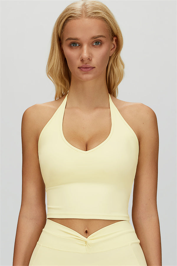 The Dreamy Halter Crop Top Julep