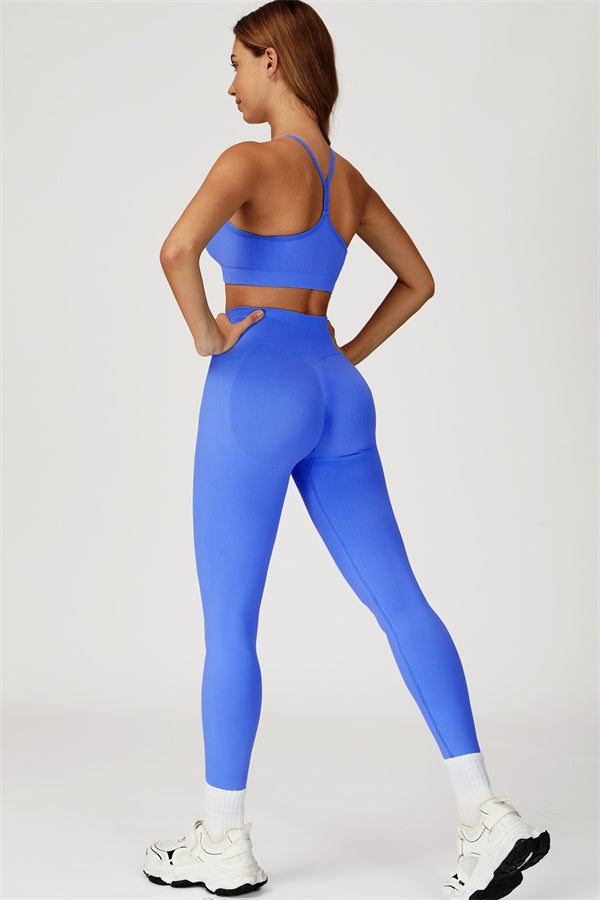 The Sculpt Sports Bra