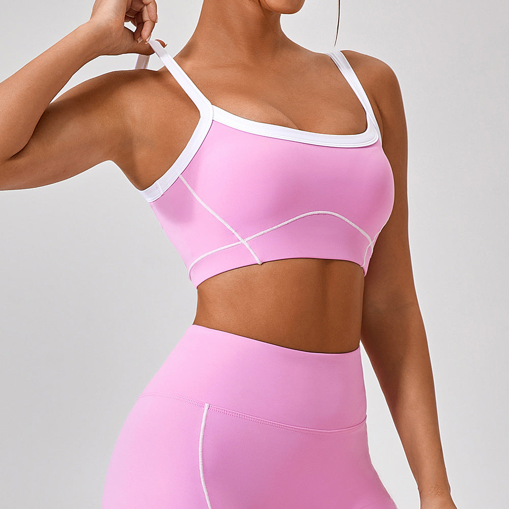 Celeste Panel Crop Bra Top