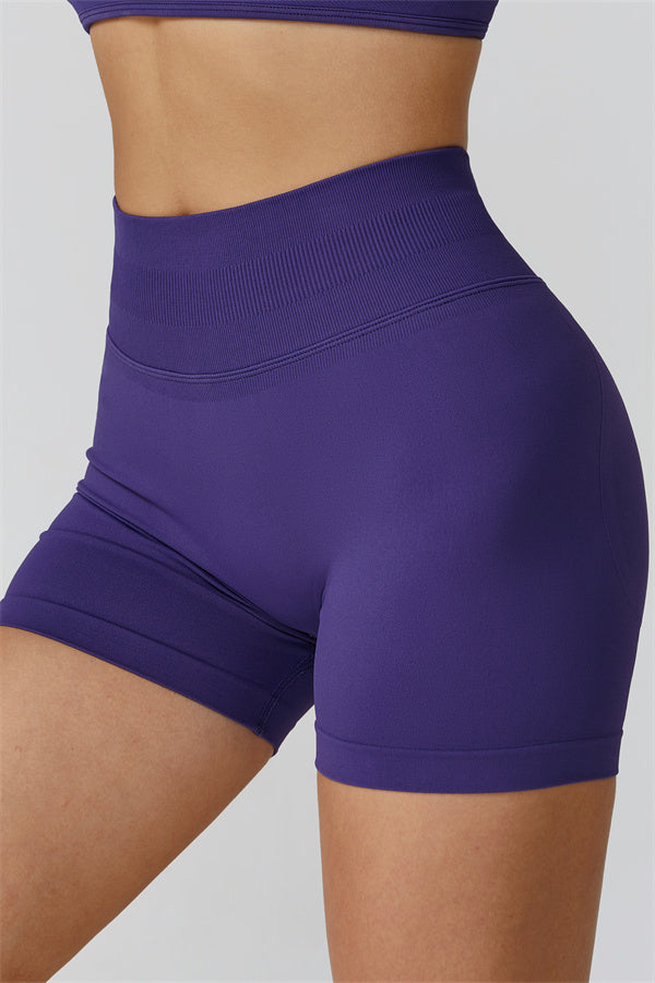 The Reign Long Sleeve Crop Top Shorts 2-Piece Set
