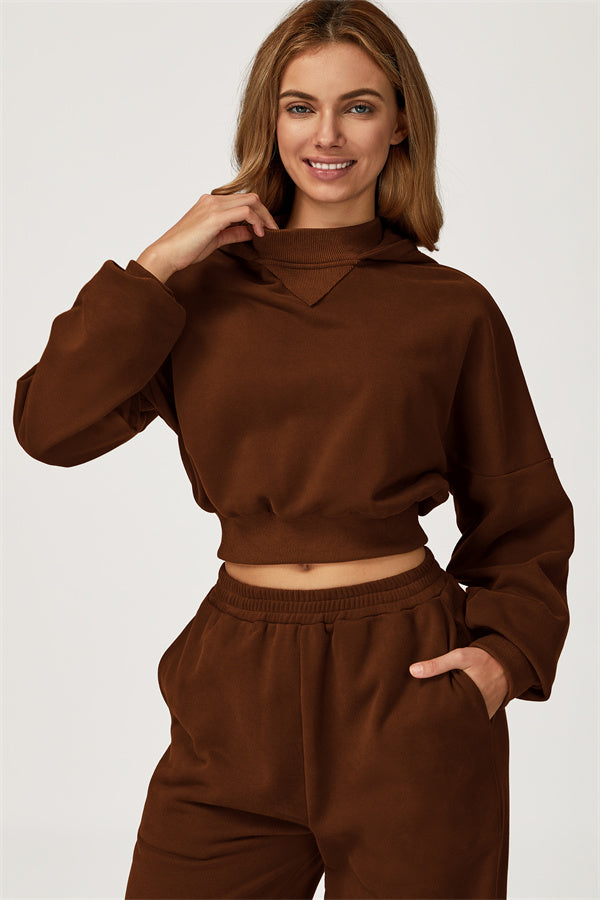 The Axis Crop Hoodie Pants 2-Piece Set