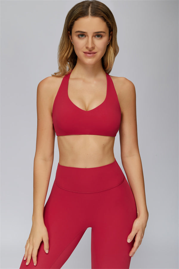 The Flex Core Sports Bra