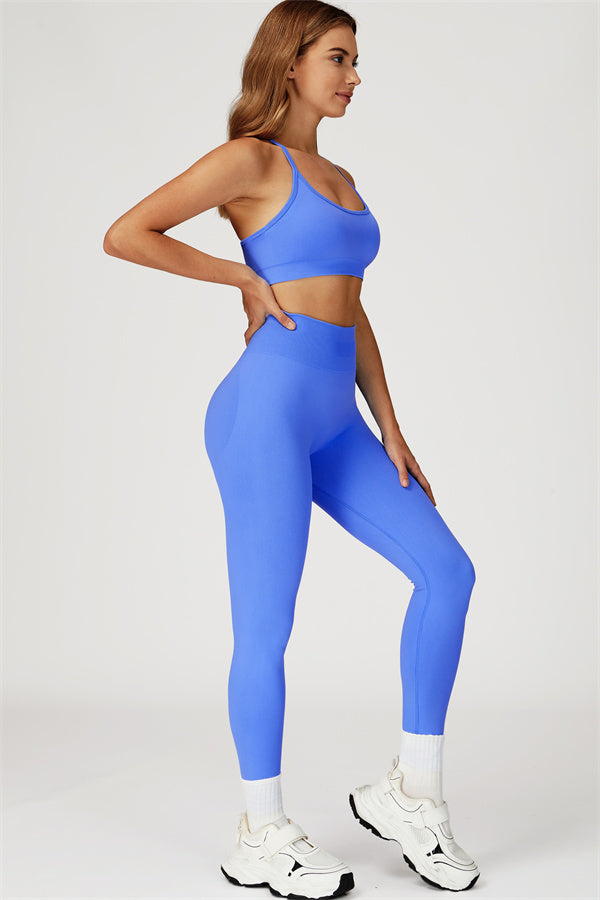 The Sculpt Sports Bra